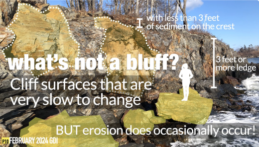 Anatomy and Lifecycle of Maine's Coastal Bluffs Webinar