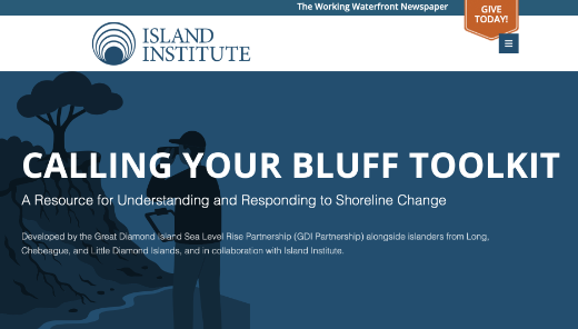 Calling Your Bluff Toolkit