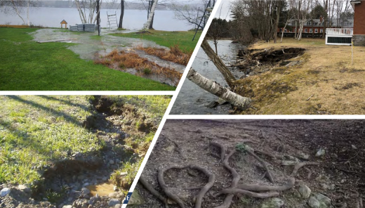 MIP'S Demystifying Nature-Based Strategies