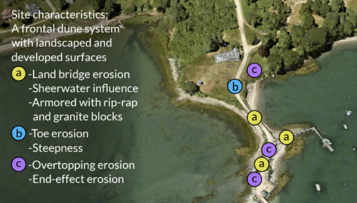 2023 Living Shorelines and Boat Tour Workshop