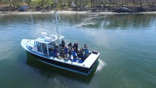 2024 GDI Shoreline Mapping