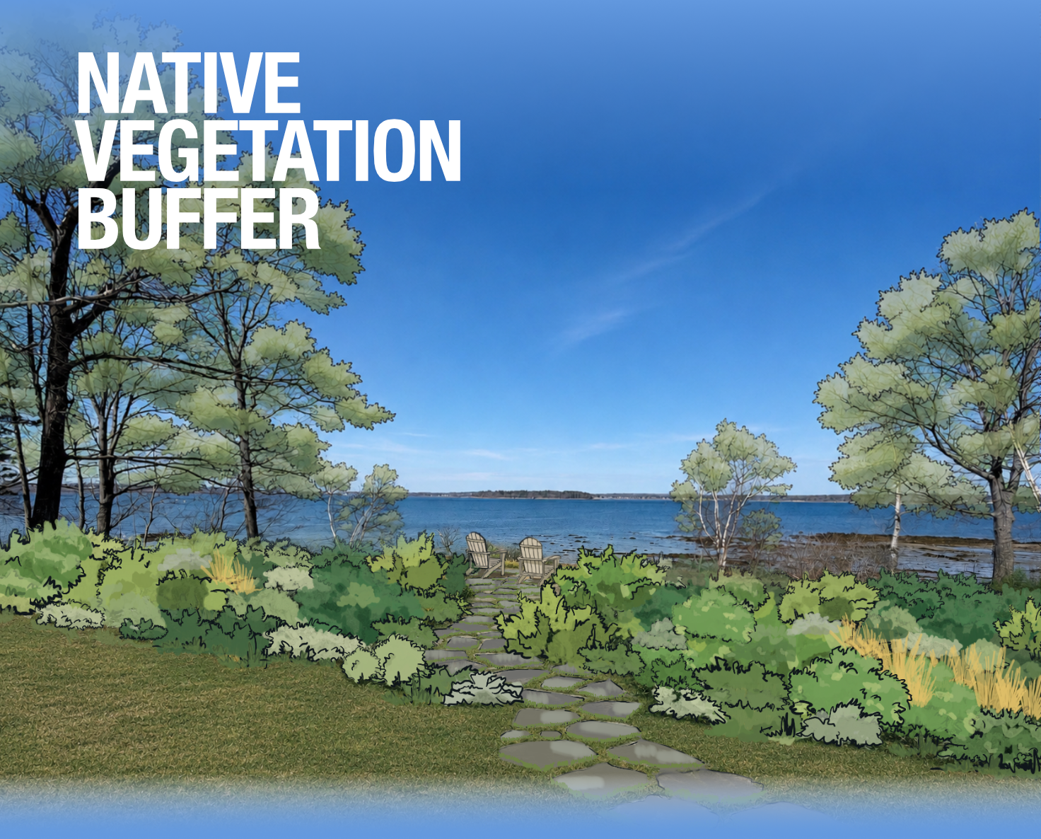 Upland with native plant buffer zone