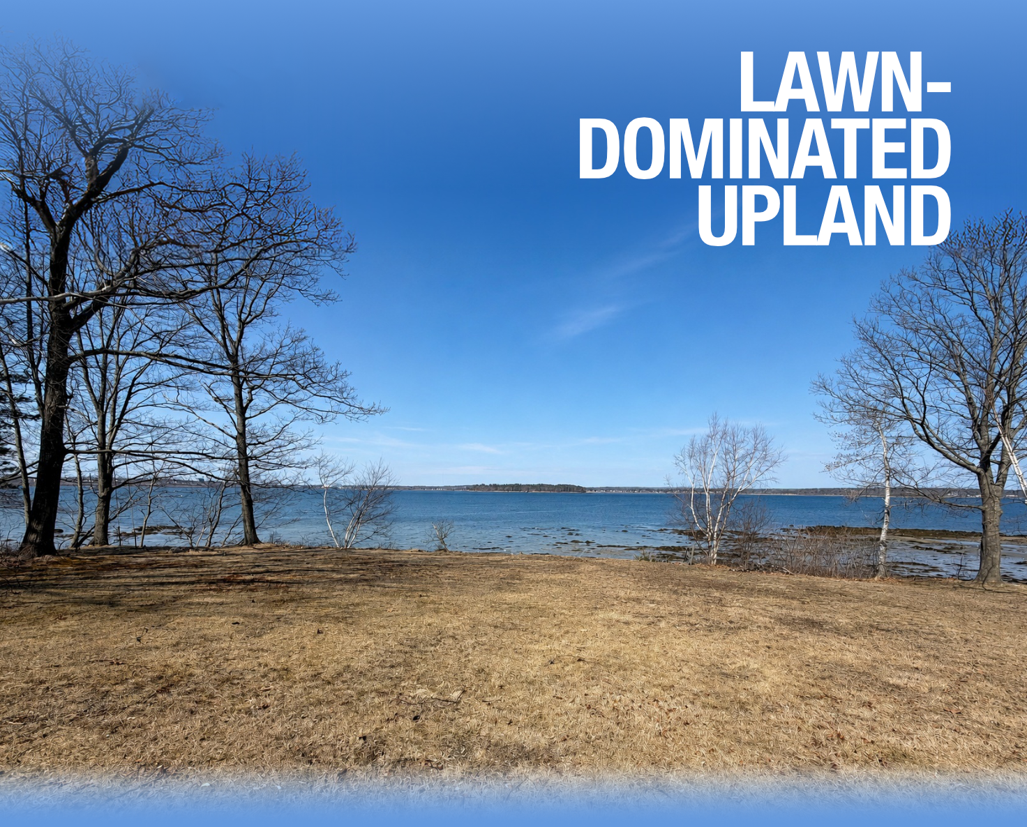 Upland with lawn